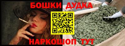 индика Сланцы
