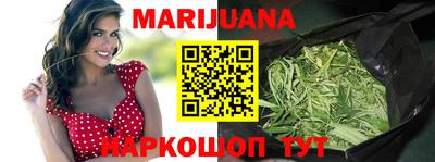 индика Сланцы