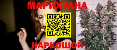 индика Сланцы