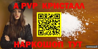индика Сланцы