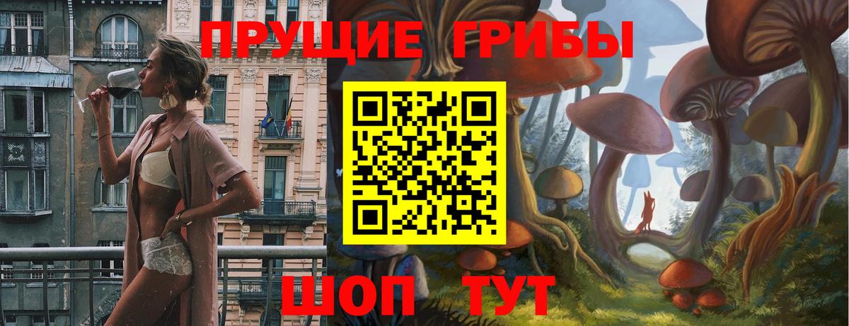 магазин продажи наркотиков  Вход с VPN  Новороссийск  Псилоцибиновые грибы GOLDEN TEACHER 