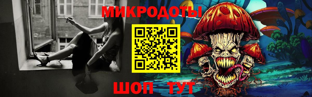 Псилоцибиновые грибы мухоморы Новороссийск